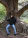 bigtree_small.jpg