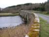 clewbay01_small.jpg