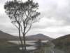 clewbay08_small.jpg